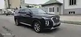 Hyundai Palisade, 2020-3