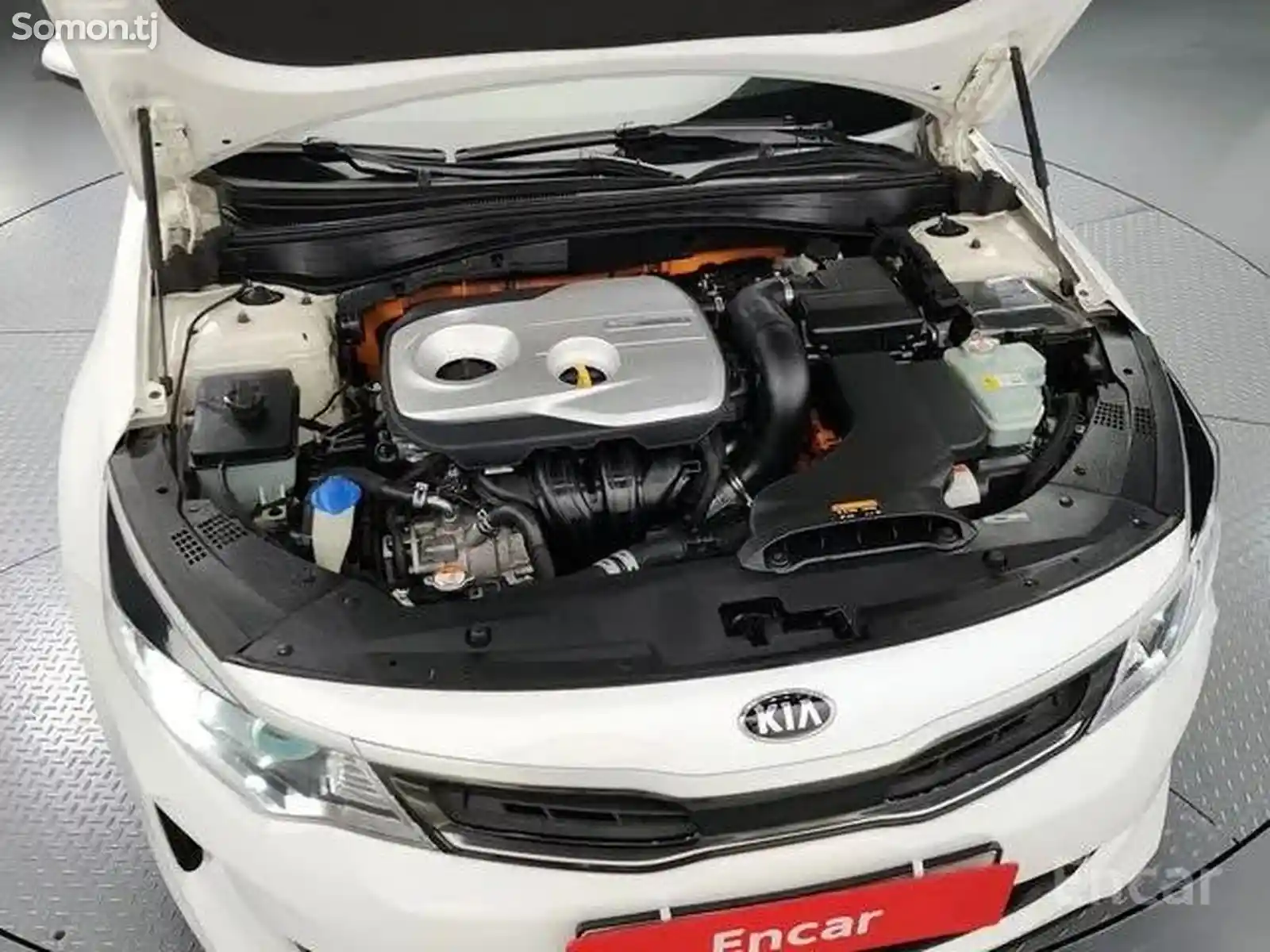 Kia K series, 2017-6