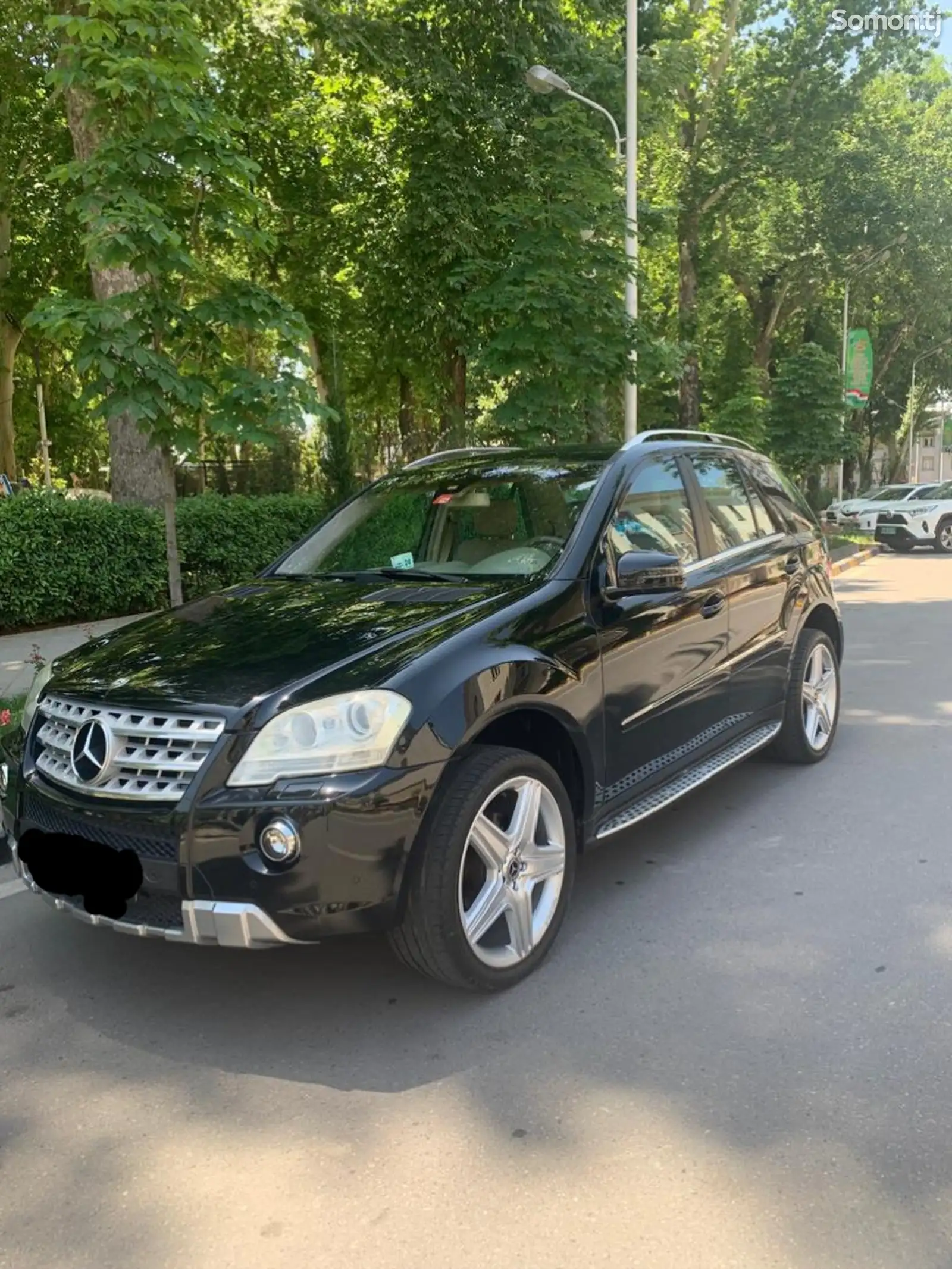 Mercedes-Benz ML class, 2010-1