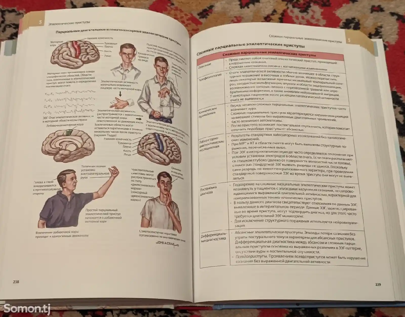 Справочник по неврологии Неттера-7