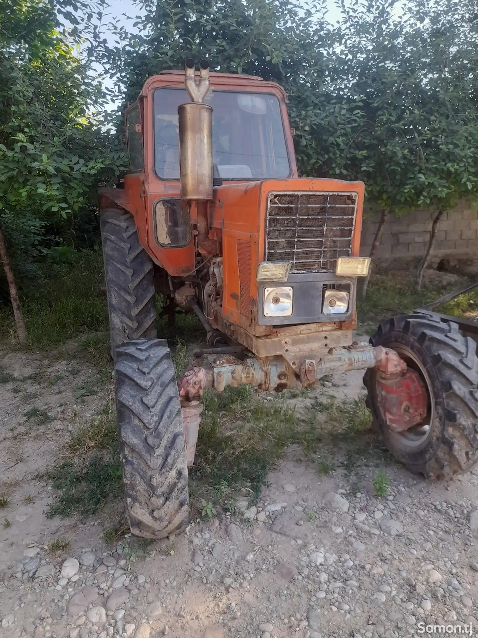 Трактор МТЗ 82 1991-5