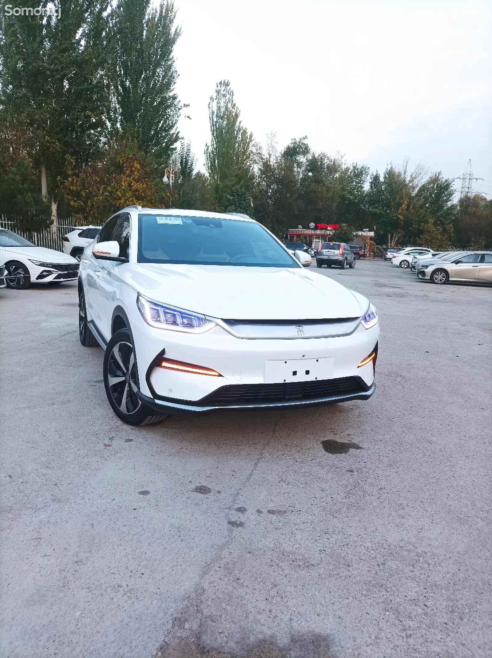 BYD Song Plus, 2023-1