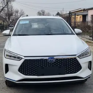 BYD E2, 2022