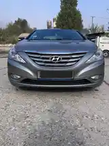 Hyundai Sonata, 2010-5