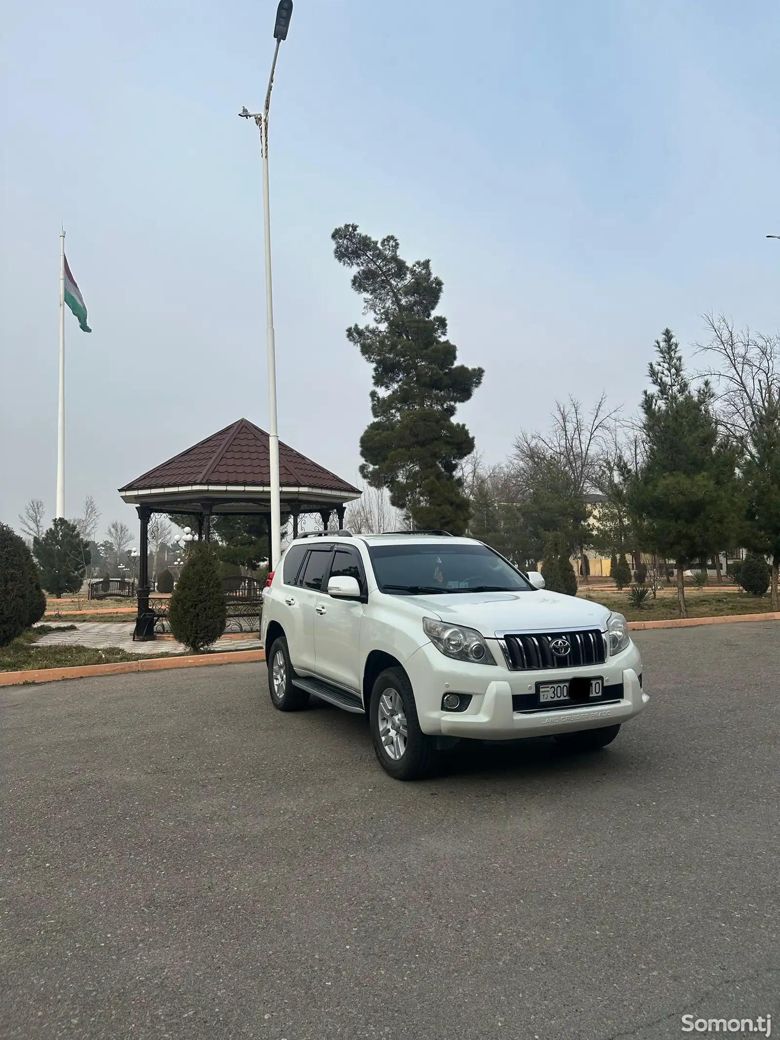 Toyota Land Cruiser Prado, 2010-1