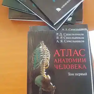 Учебник- Атлас анатомии человека Синельников