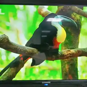 Телевизор Samsung 35 Android TV