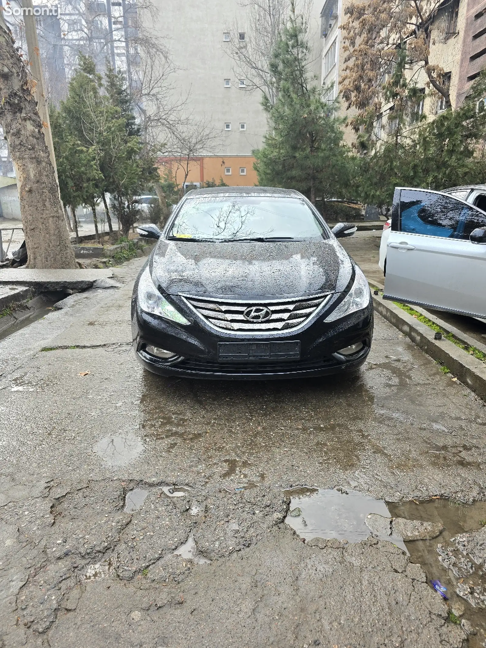 Hyundai Sonata, 2010-1