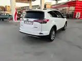 Toyota RAV 4, 2019-8