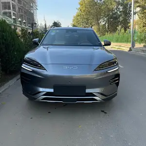 BYD Song Plus Flagship, 2024