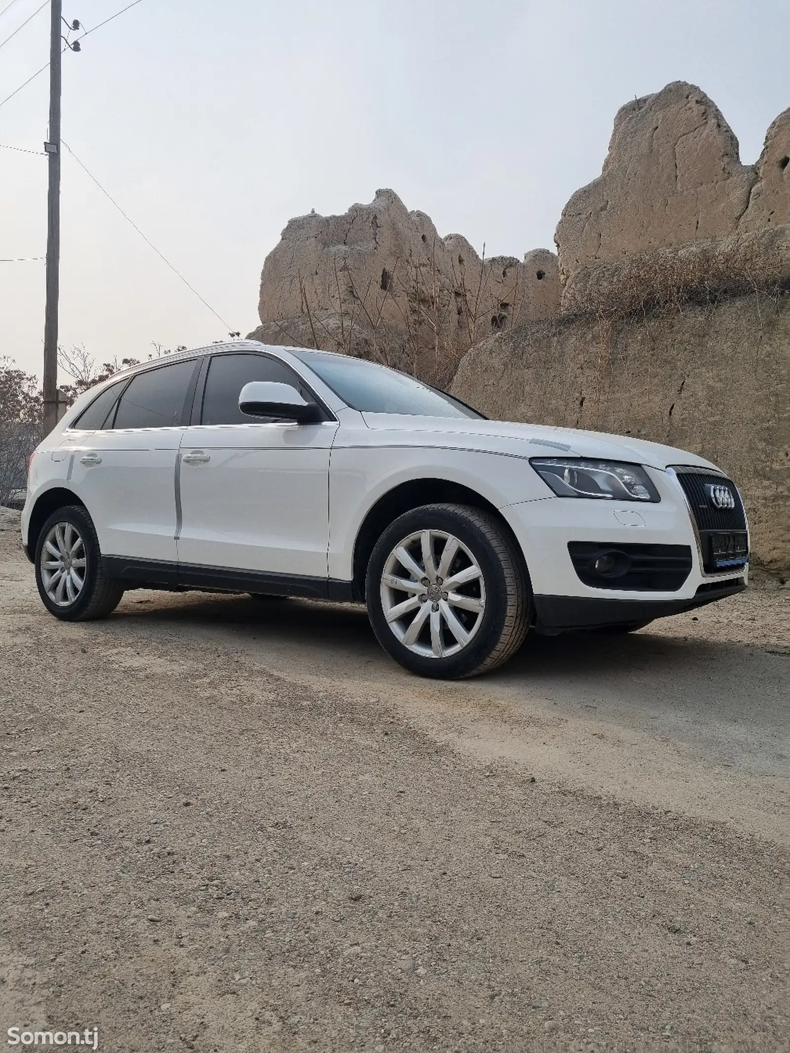 Audi Q5, 2010-1