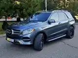 Mercedes-Benz GLE class, 2017-3