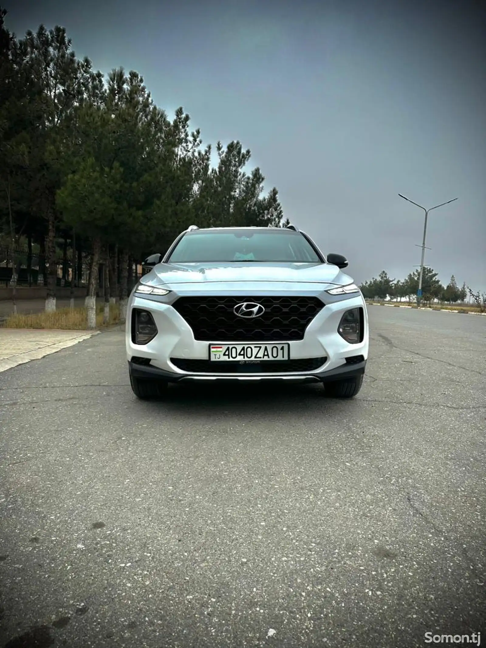 Hyundai Santa Fe, 2019-1