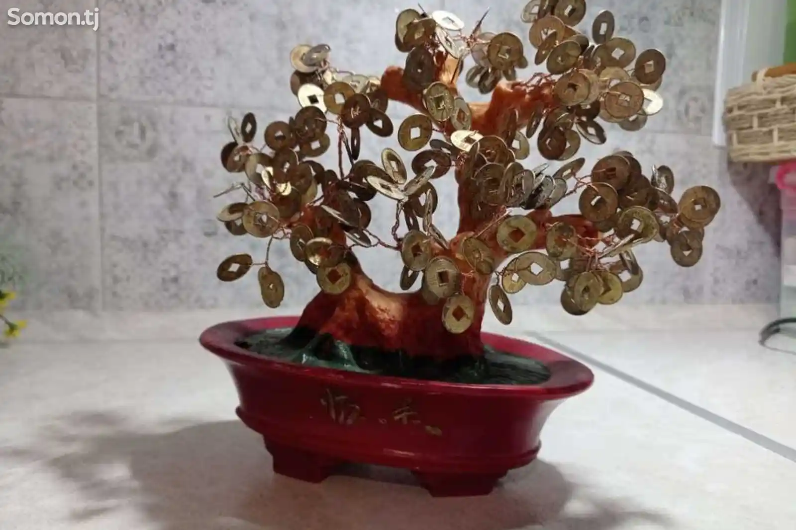 Декоративное денежное дерево
