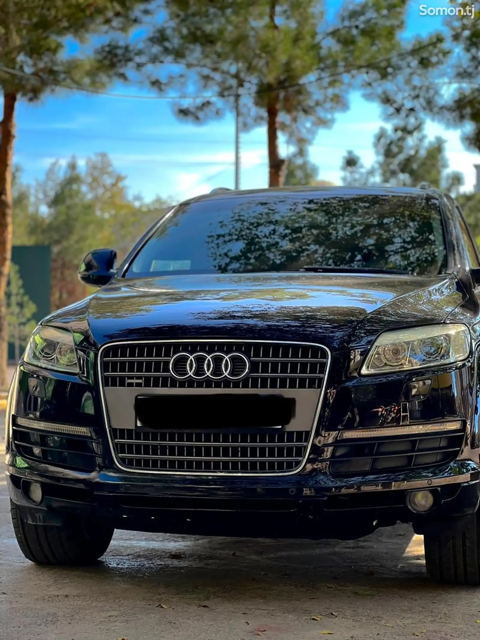 Audi Q7, 2007-5