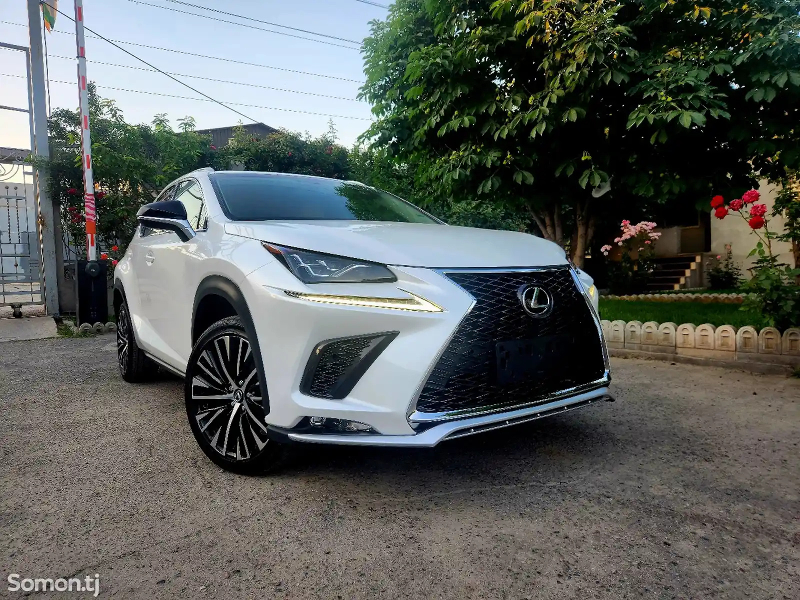 Lexus NX series, 2017-5