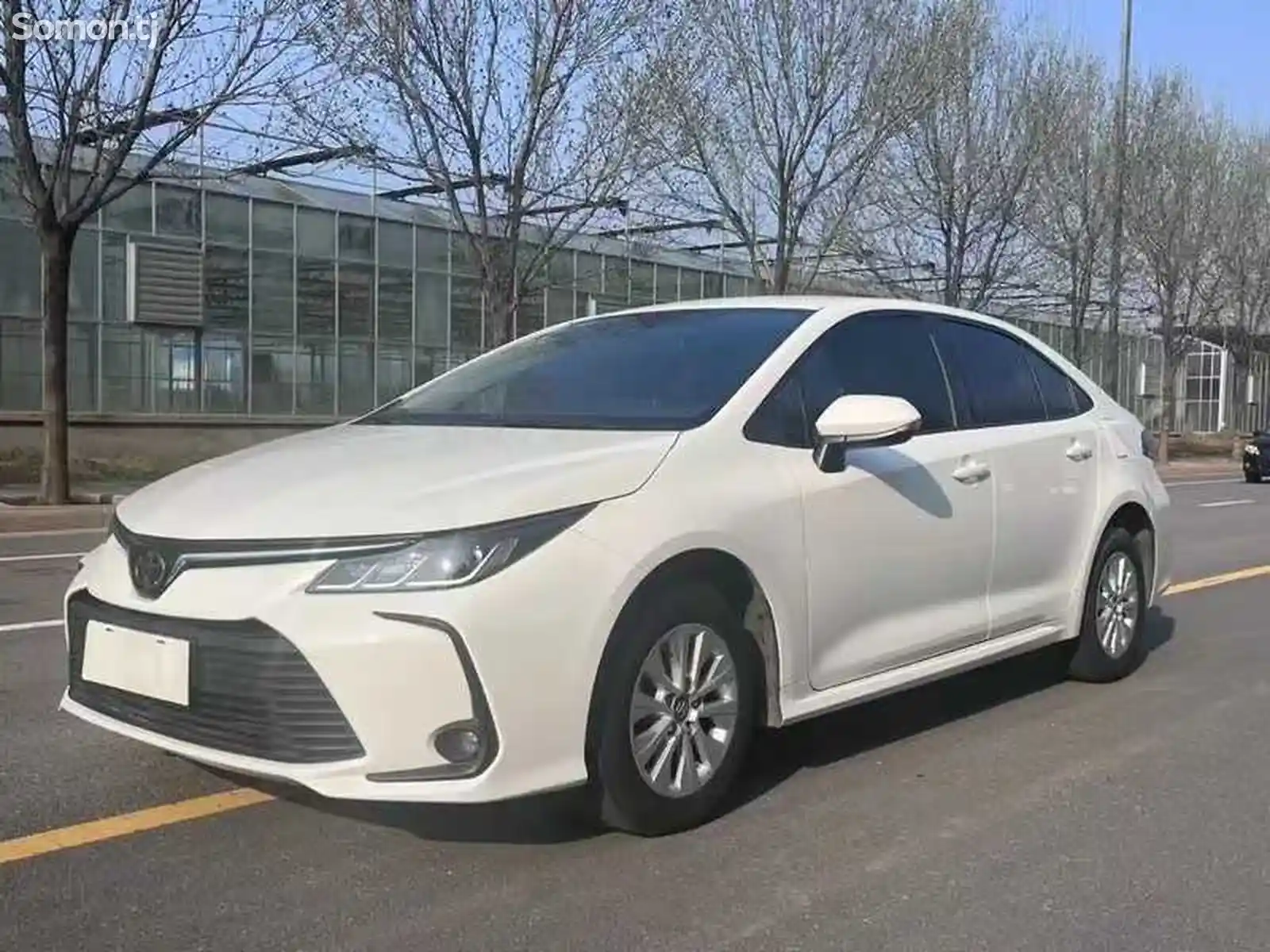 Toyota Corolla, 2021-1