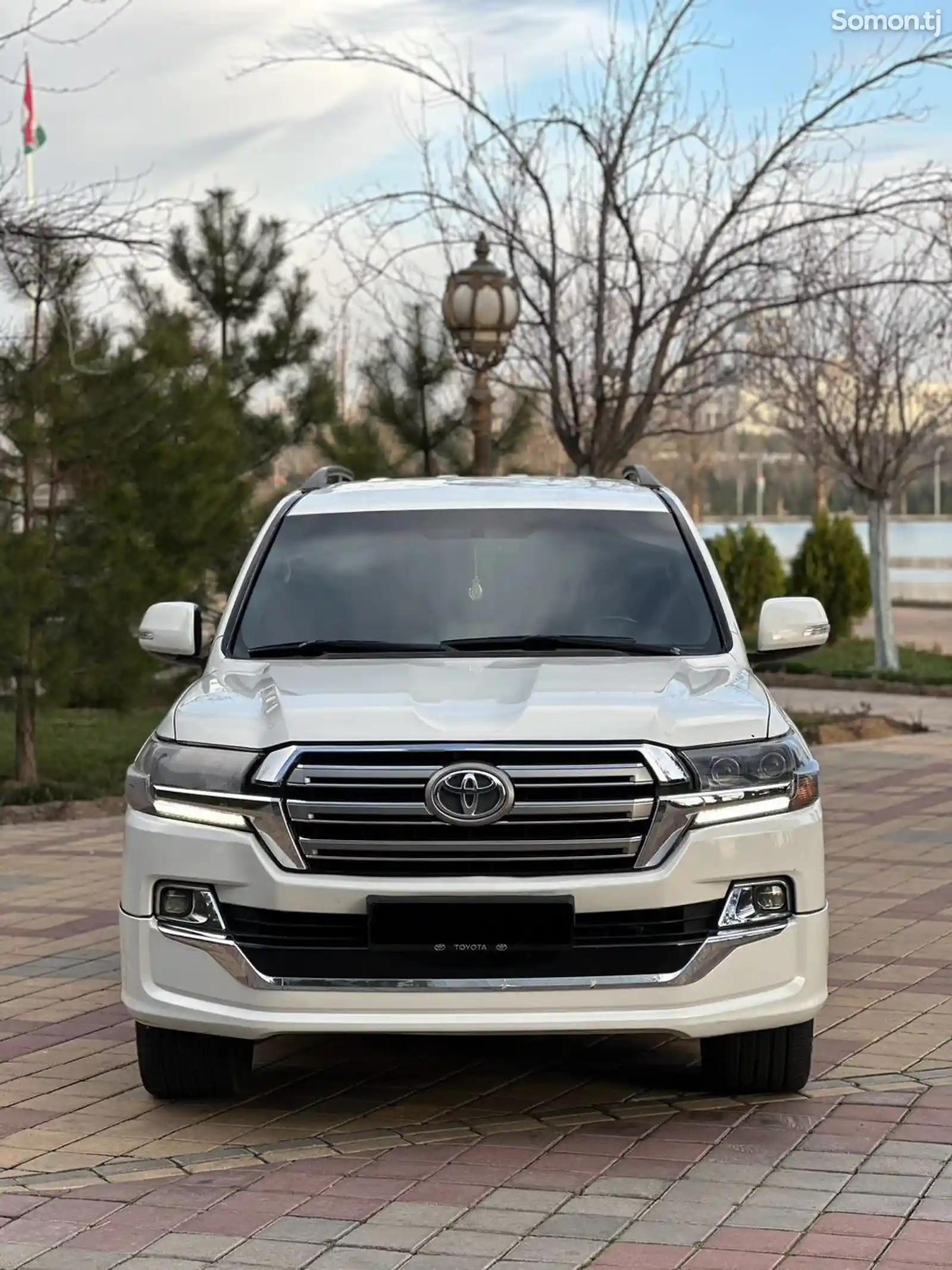 Toyota Land Cruiser, 2008-1