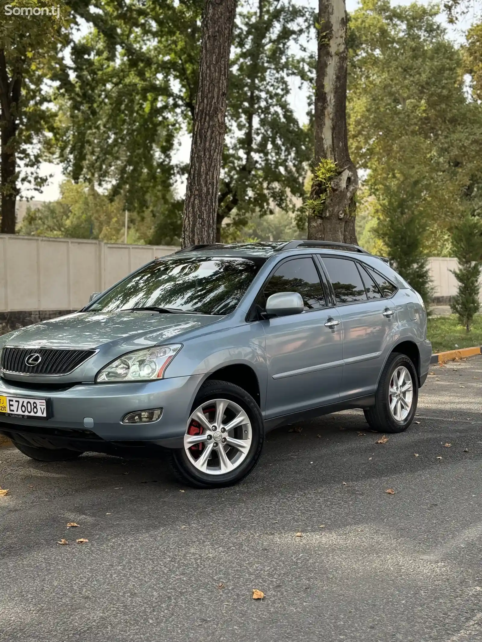 Lexus RX series, 2008-5