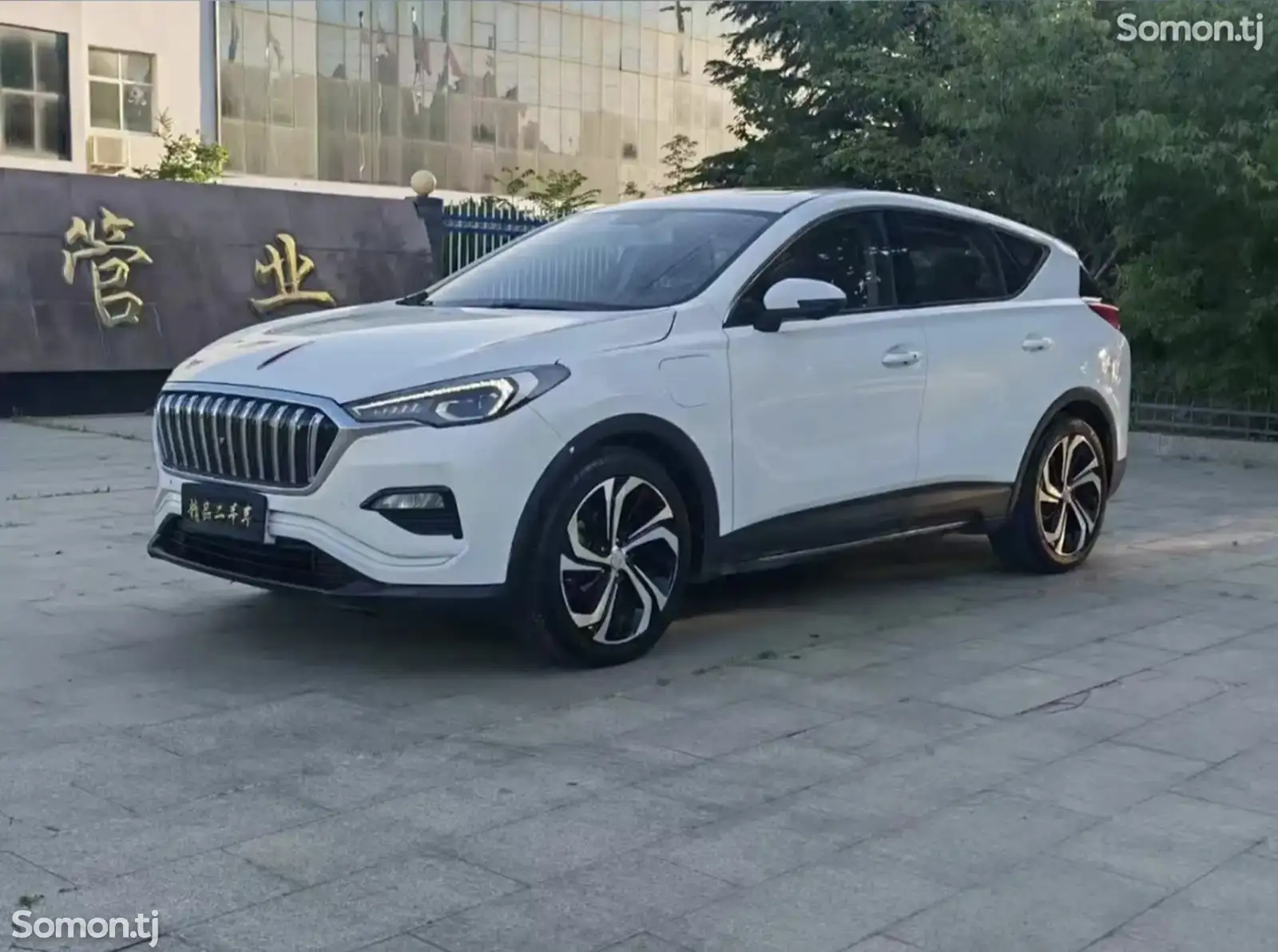 Hongqi E-HS3, 2019-1