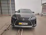 Lexus RX series, 2019-5