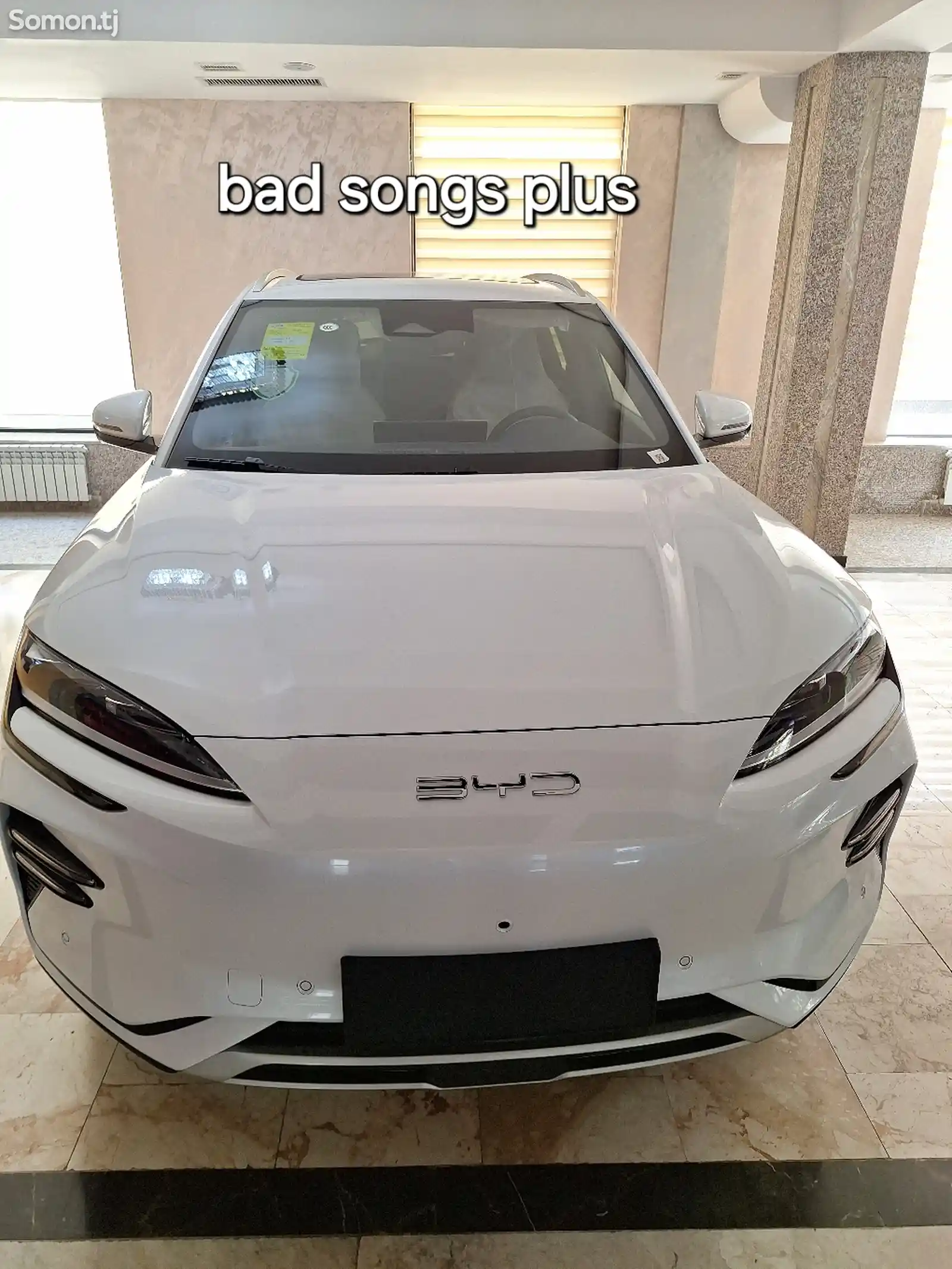 BYD Song Plus Flagship, 2024