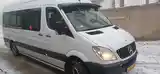 Пассажирский Mercedes-Benz Sprinter, 2008-3