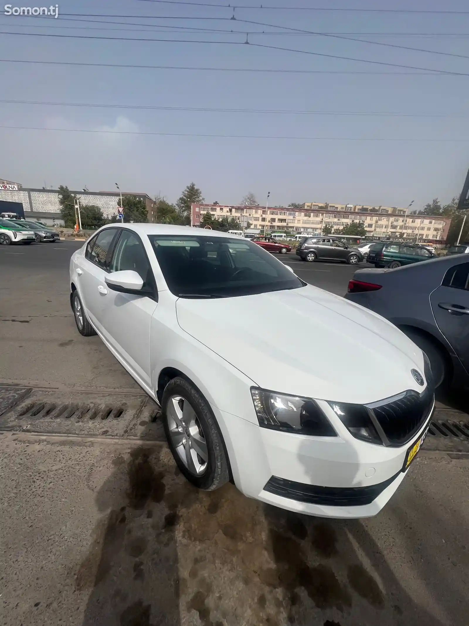 Skoda Octavia, 2019-4