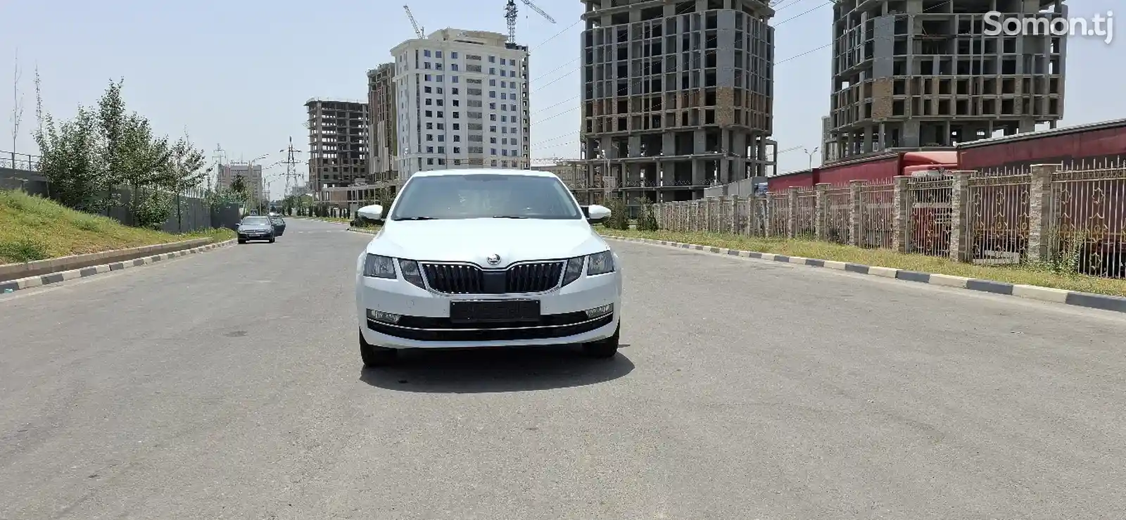 Skoda Octavia, 2019-1