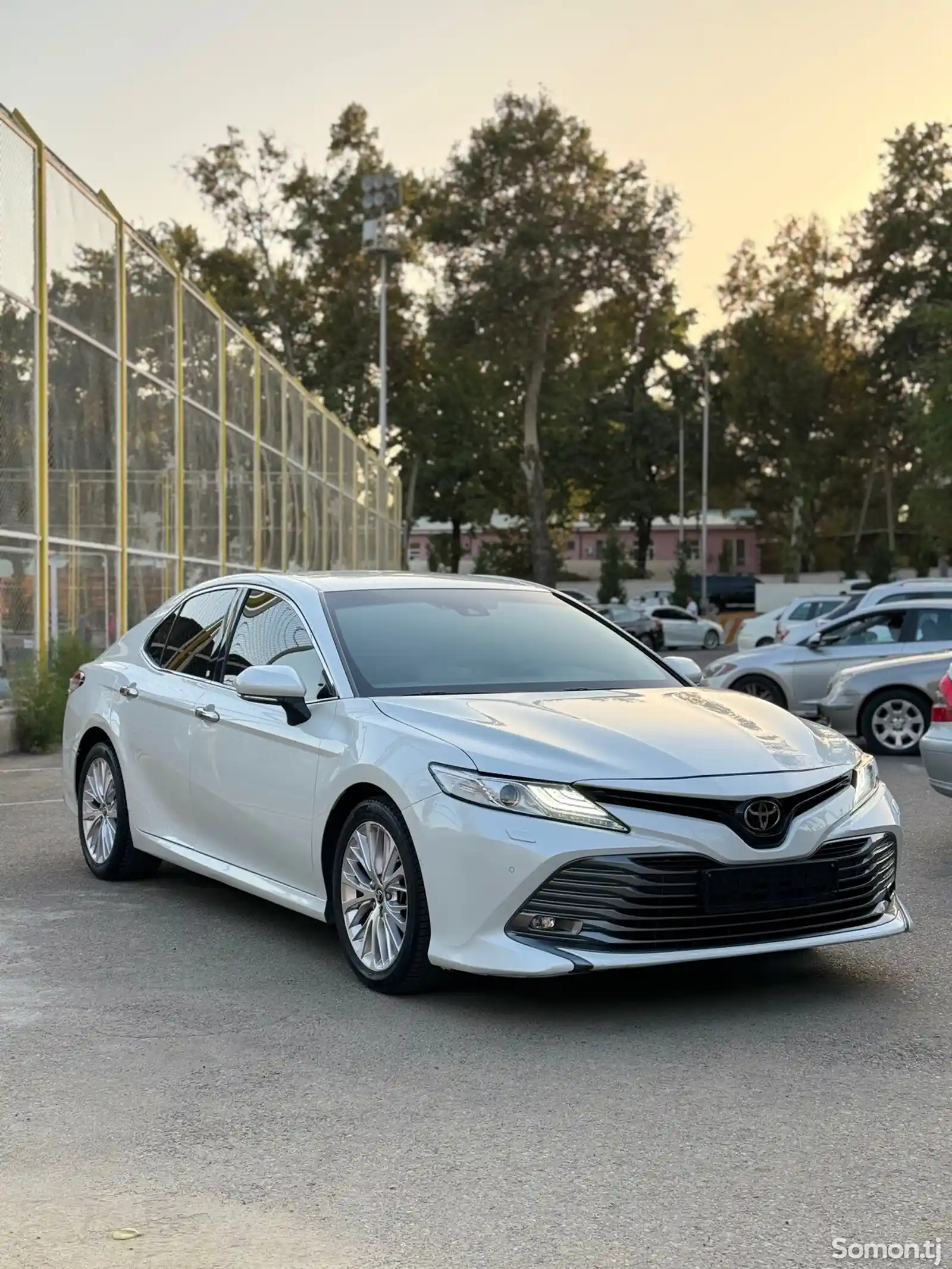 Toyota Camry, 2019-3