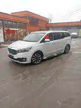 Kia Carnival, 2016-10