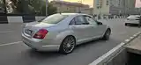 Mercedes-Benz S class, 2008-3