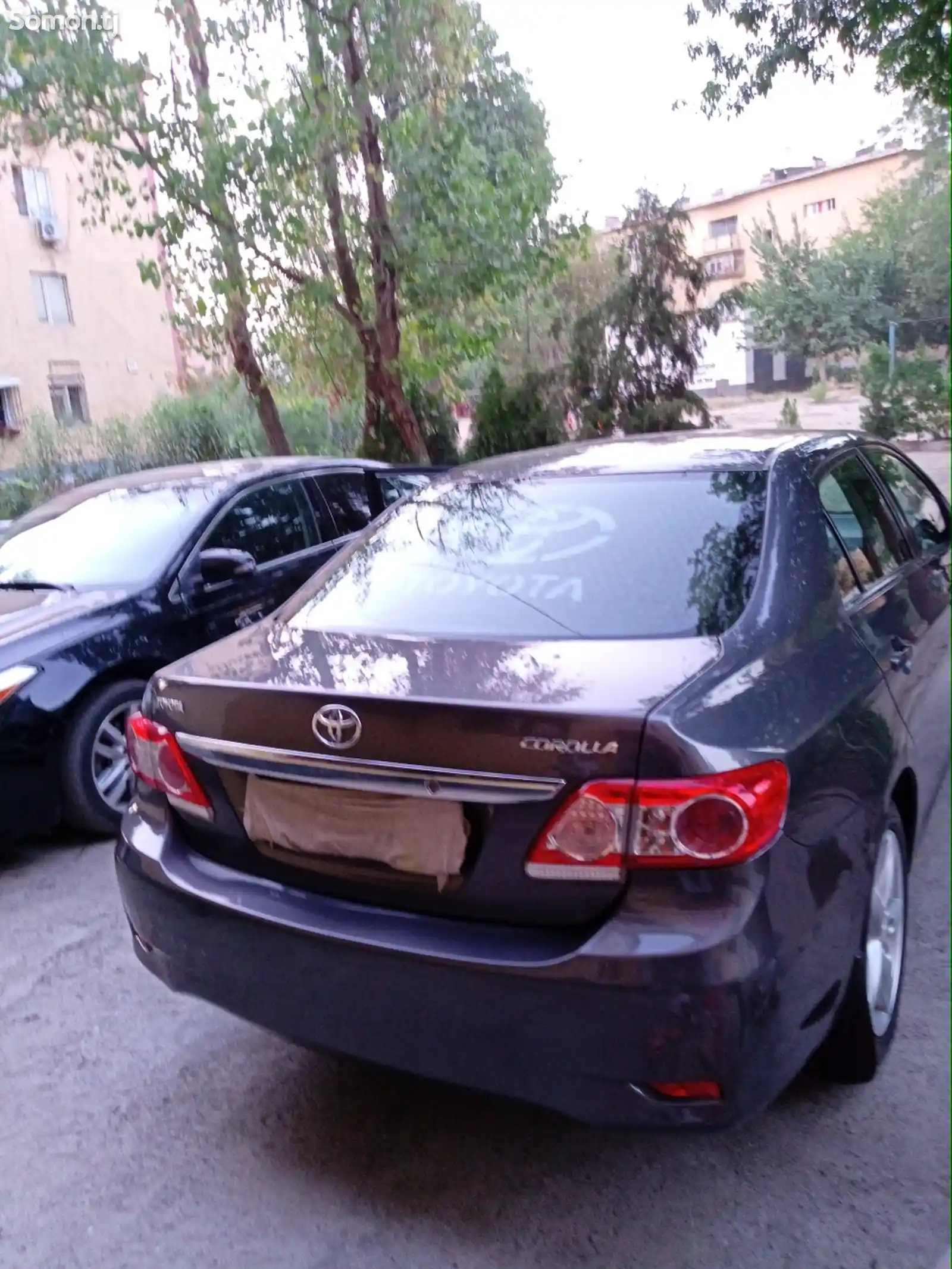 Toyota Corolla, 2010-7