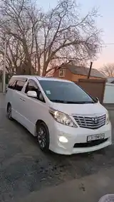 Toyota Alphard, 2010-3