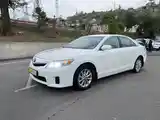 Toyota Camry, 2010-8