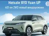 BYD Yuan Up, 2024-11