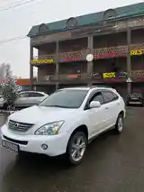 Lexus RX series, 2008-2