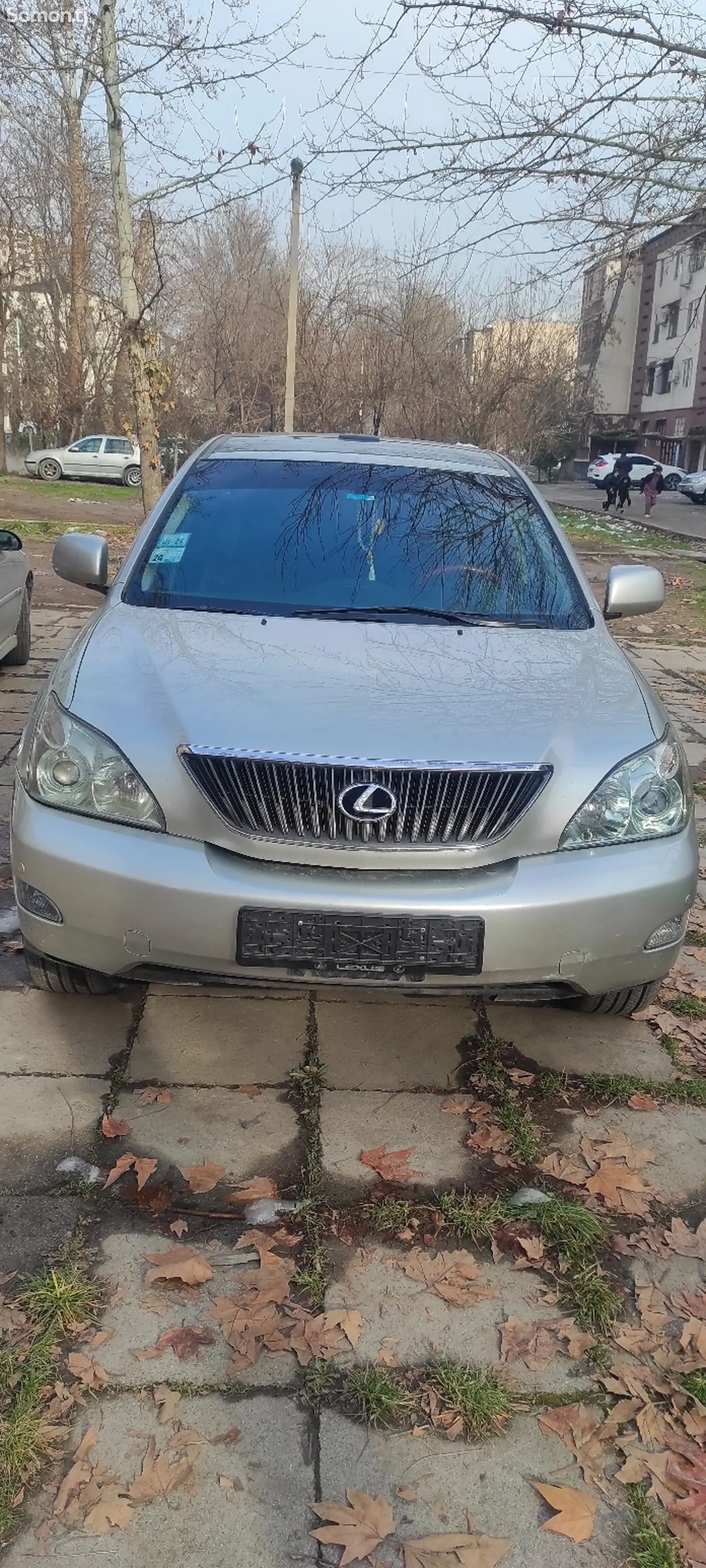 Lexus RX series, 2006-1