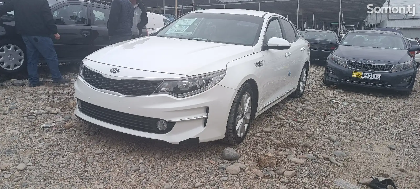 Kia K5, 2015-1