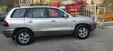 Hyundai Santa Fe, 2002-4