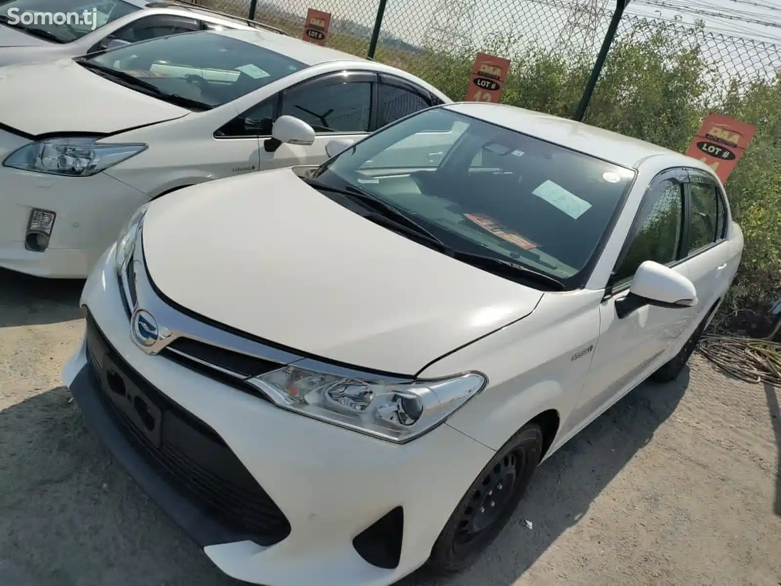 Toyota Axio, 2017-2