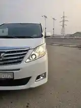 Toyota Alphard, 2014-3