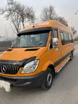 Микроавтобус Mercedes-Benz Sprinter, 2007-5