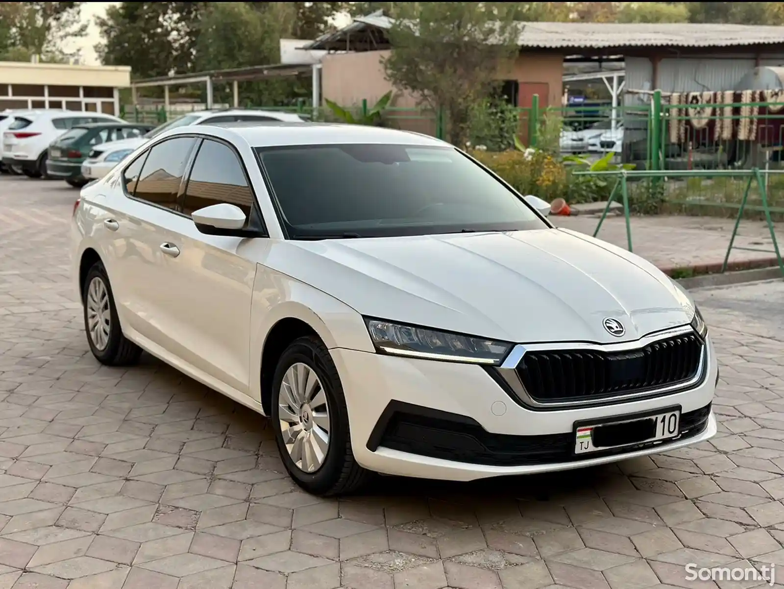 Skoda Octavia, 2022-1