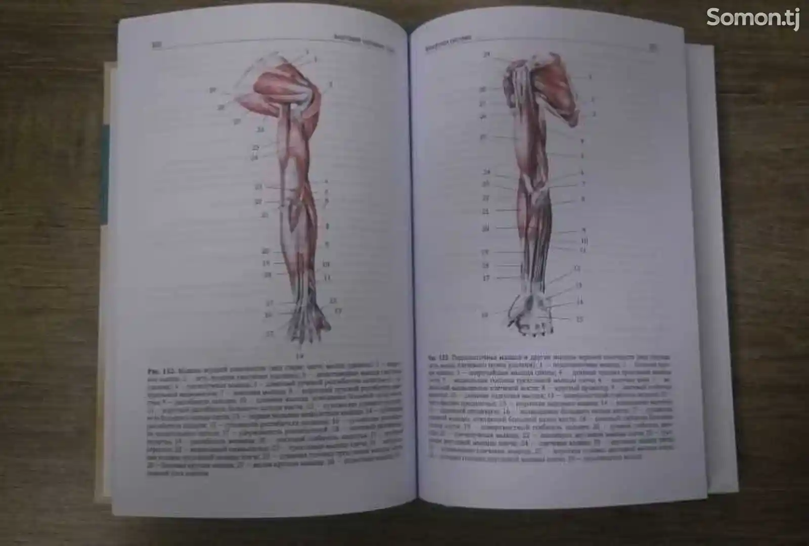 Книга Анатомия Человека Том 1-2-5
