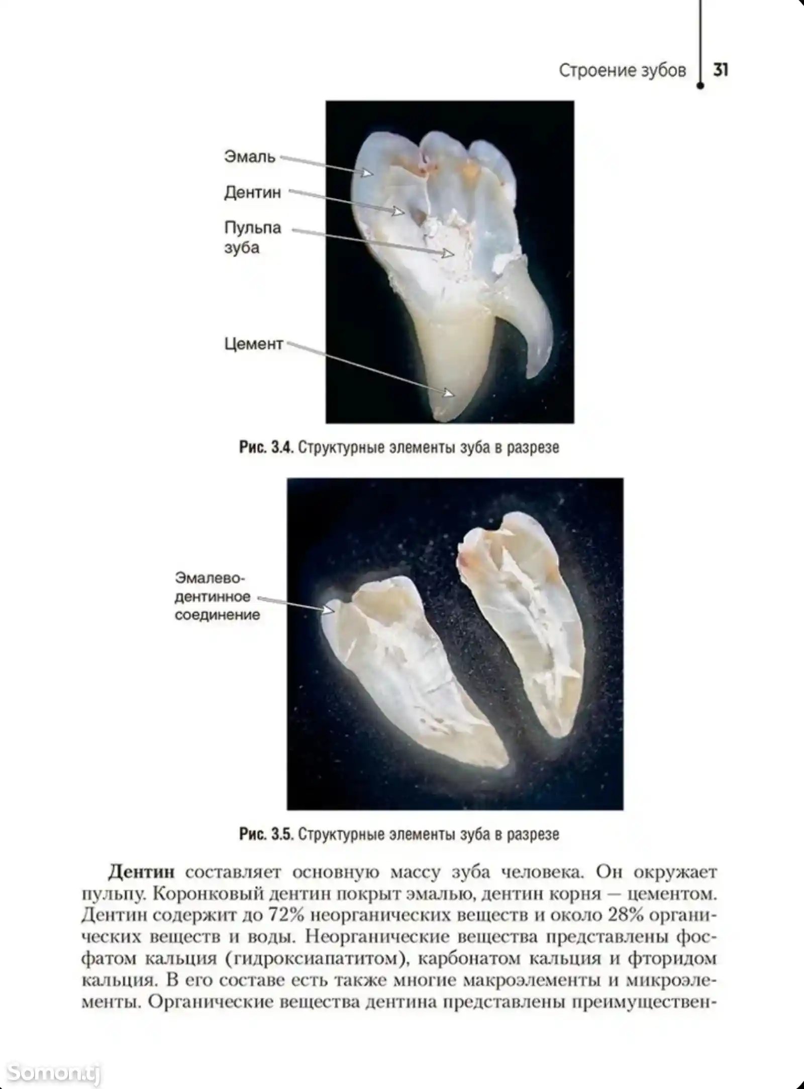 Книга Гигиена полости рта на заказ-7