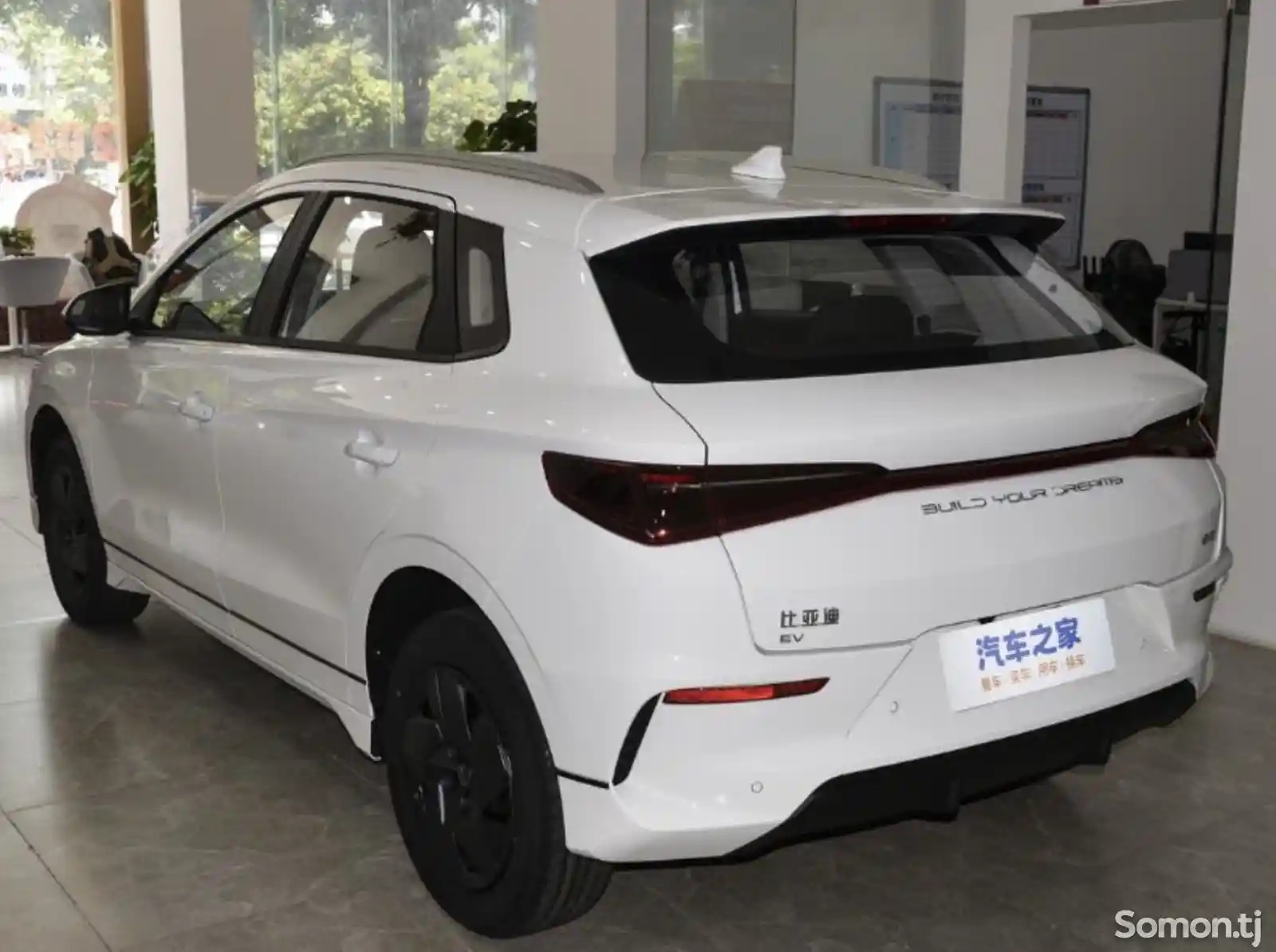 BYD E2, 2024-5