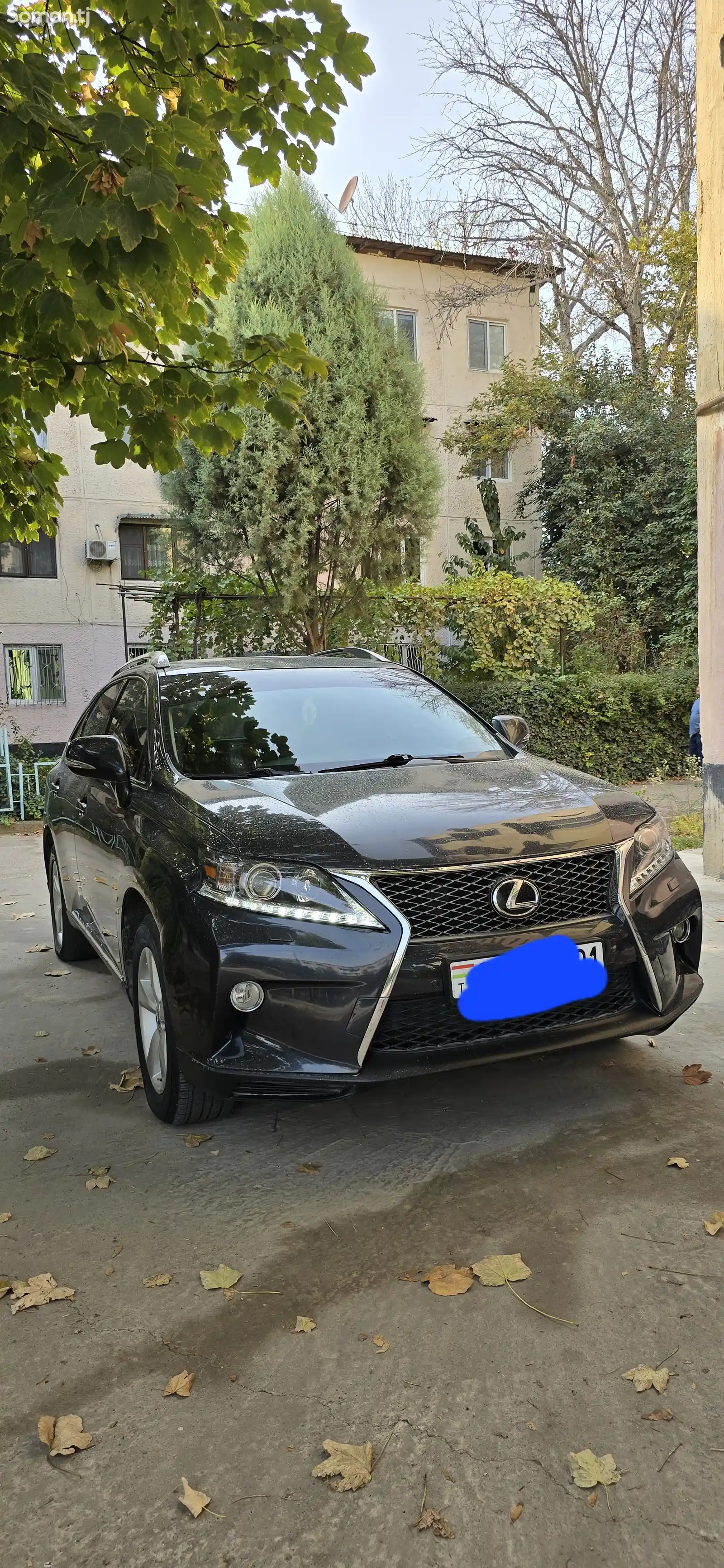 Lexus RX series, 2010-5