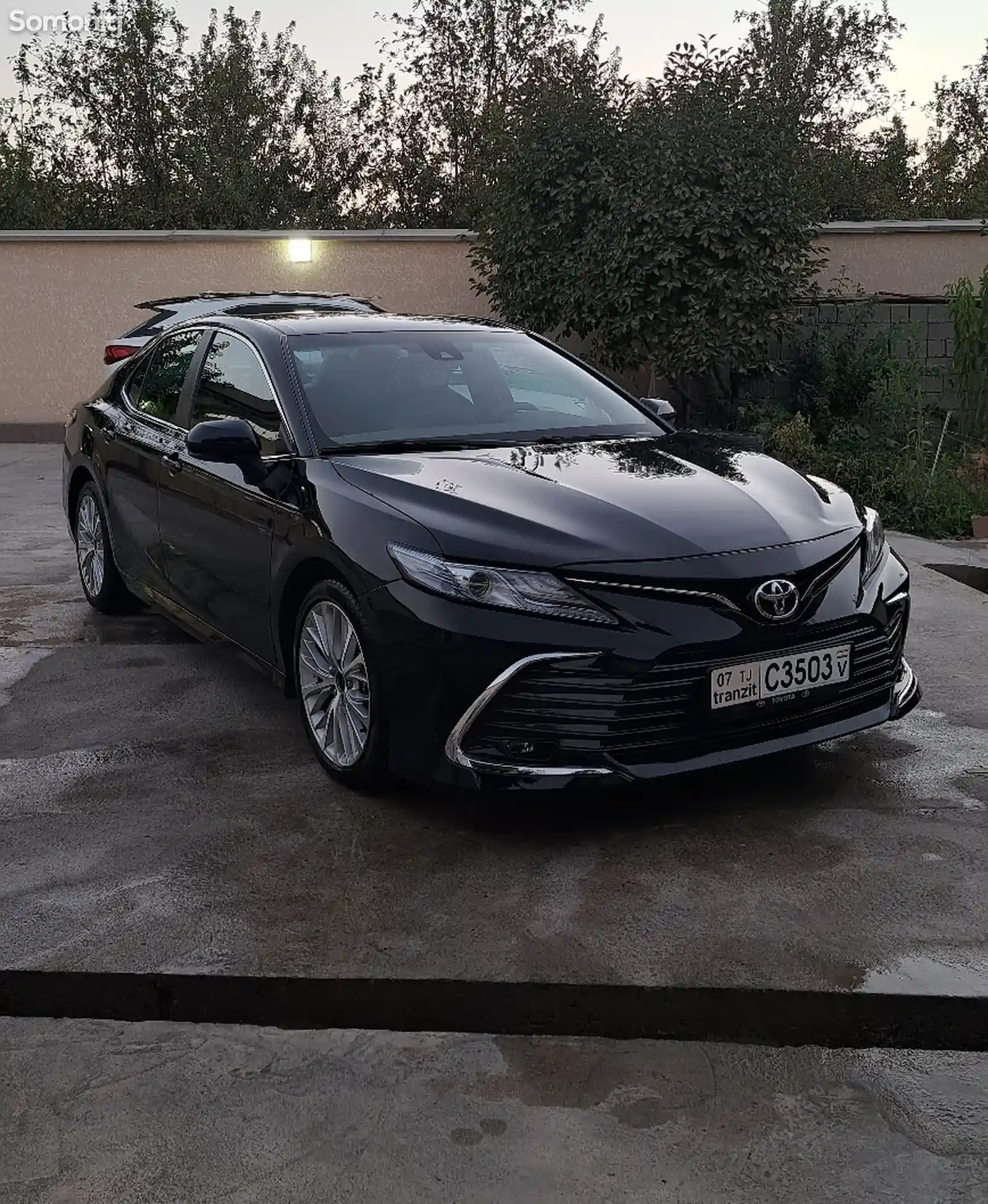 Toyota Camry, 2019-6