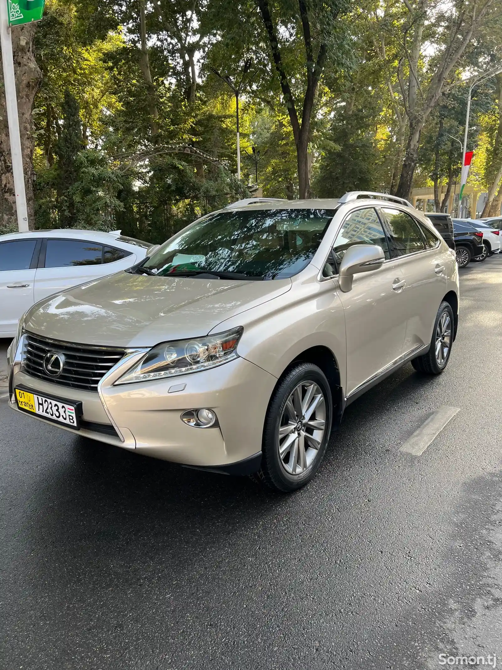 Lexus RX series, 2013-3